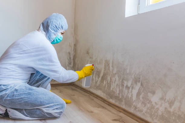 Bathroom Mold Removal assessment in Bernardsville bathroom