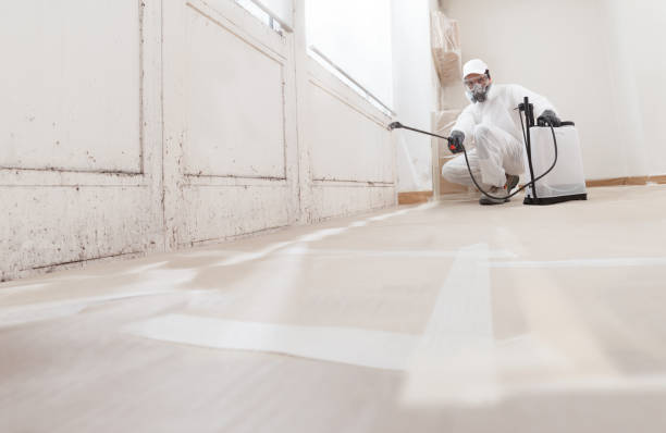 Black mold remediation team in Bernardsville